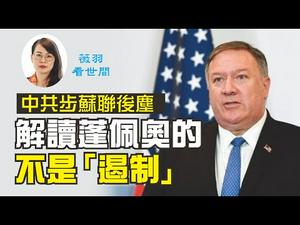 【第93期】世界怎样评价中国人？中共面临什么危机？蓬佩奥演讲中说对中共不是「遏制」意味著什么？华裔智囊余茂春起了什么作用？| 薇羽看世间 20200728