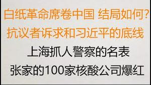 财经冷眼：白纸革命席卷中国，结局如何？抗议者的诉求和习近平的软肋？博弈结局如何？上海抓人警察的名表亮了！张家的100家核酸公司爆红！（20221129第919期）