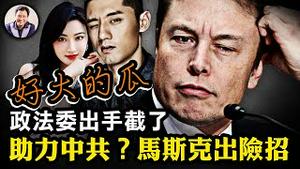 张继科冲顶热搜，事关体委腐败？景甜京城四美与干爹们的瓜更大；马斯克与习近平第一轮较量：开放中共推特帐号交换拜谒李强？【江峰漫谈20230403第654期】