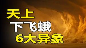 🔥🔥天上下”飞蛾“...6大异象齐现❗8月有大灾⁉️