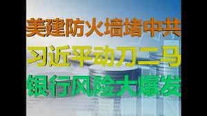 财经冷眼：美国核弹级制裁启动！习近平对二马动刀！银行风险大爆发！（20200806第304期）