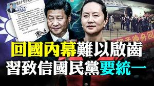 💥要求统一！习写信给台国民党；孟晚舟刚下飞机就“打脸”中共！回国专机两大诡异事件，北京早知孟要回？加拿大人质回国，外形有变；让孟认罪，共党四个用意；德国大选，默克尔接班人揭晓？｜新闻拍案惊奇 大宇