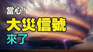 🔥🔥不寻常❗竹子遍地开花、北京四月飘雪 ❗当心！大灾就在眼前❗