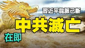 🔥🔥习近平龙脉已断 中共灭亡在即❗