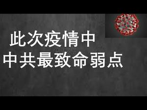 关于武汉肺炎，有一个真相中共最害怕外界知道！ Stone记在此关键问题上为中共洗地。当前大外宣的特征。 （一平快评78，2020/02/09）