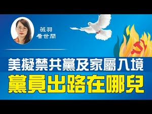 【第84期】报道说川普政府正拟定总统行政令，禁止中共党员及家属入境美国。如果你是党员该怎么办？| 薇羽看世间 20200717