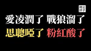 【公子时评】谷爱凌全家乘私人飞机润去美国！战狼吴京躲在泰国，韭菜粉红玻璃心又碎一地！五毛造谣王思聪被捕，还不润恐怕已被边控...