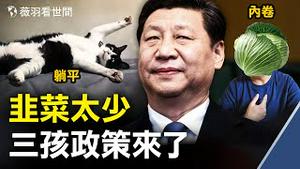 中国教授爆：每个家庭要生四个，否则很快中国人口只剩5亿，其中老人佔4.5亿；强制生育专家支奇招：月经警察，限制出售避孕产品，人才啊！｜薇羽看世间 第310期 20210601