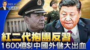 当年帮助习近平，红二代如今抱团反习；出逃1600亿，中国外汇储备大出血；放软身段，习近平将宴请大批美国企业高管（政论天下第1153集 20231107）天亮时分