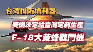 台湾国防増利器，美国决定给台湾定制生产F-18大黄蜂战斗机。2024.06.02NO2305