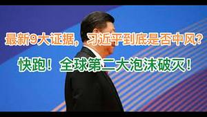 最新9大证据盘点，习近平到底有没有中风？快跑，全球第二大泡沫破灭！刚倒车就挂了，越南独裁者去世，越南人民真幸福！(20240719第1232期)