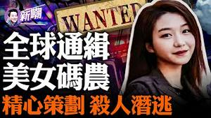 深夜飙车，美女码农叶婷醉驾杀人！隐瞒真相逃过追捕，潜逃细节曝光！头脑冷静，手段冷血，这个美女太可怕！『新闻最嘲点 姜光宇』2023.1104