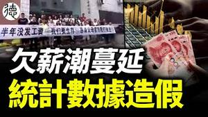 国保消极怠工，公务员欠薪潮蔓延……统计局新规做实数据造假❗️