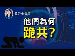 【第167期】数据！高科技公司和社交媒体巨头向中共下跪的真相。| 薇羽看世间 20201025