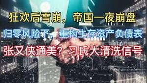 最新！狂欢后雪崩，帝国一夜崩盘！归零风险下，如何重构你的生存资产负债表？推荐两只股票！张又侠通美？习氏大清洗信号！