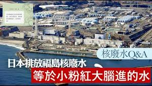 福岛排往大海的废水其实就是小粉红大脑进的水《建民论推墙第2104》