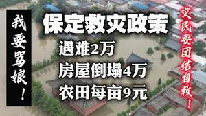 我要骂娘！保定救灾政策：遇难2万、房屋倒塌4万、农田每亩9元。2023.08.17NO1962