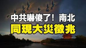 🔥🔥中共吓傻了❗南北同现大灾征兆❗造反升级 抽生死状以死抗共❗ 大洪水过后瘟疫爆发❓三阳大规模感染开始❗