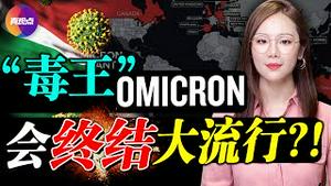 🔥冬奥会管控上路, 中企被迫“躺平”至明年3月! Omicron危险性几何? 为何有人如临大敌, 有人镇定自若? 真观点｜真飞【20211201】【190期】