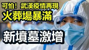 🔥🔥火葬场暴满 新坟激增❗专家：新变种株将引发新一轮感染高峰❗2024恐有可怕的死亡潮❗