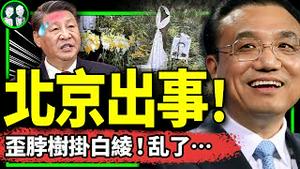 北京惊现歪脖树挂白绫！悼念再失控！李克强凄凉灵堂照曝光，党急定火化日期，习近平指挥最简陋葬礼（老北京茶馆/第1039集/2023/10/31）