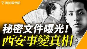 他是民族的罪人吗？秘密文件在美国拍卖，曝光西安事变真相，张学良是共产党员！｜薇羽看世间 第811期