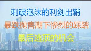 财经冷眼：大逃顶？暴跌、抛售潮下惨烈的踩踏正在发生！（20210511第526期）