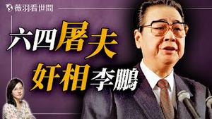 从六四到三峡大坝：解读李鹏的政治生涯与家族财富。｜薇羽看世间 20241002