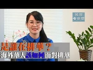 【第11期】是谁在推动排华？是谁在丑化中国？海外排华刨根问底。戈壁东时评文章|薇羽看世间 20200410