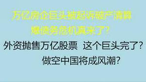 财经冷眼：万亿房企巨头被起诉破产清算，债务危机真来了？外资抛售万亿股票，这个巨头扛得住？做空中国将成风潮？（20220630第820期）