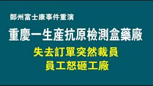 【郑州富士康事件重演】重庆一生产抗原检测盒药厂失去订单突然裁员，员工怒砸工厂。2023.01.08NO1675#富士康#重庆