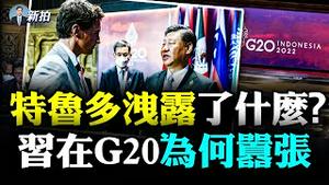 💥情报！中共大规模调查加拿大官员，人数惊人！习G20一趟，成功得罪“英美加”三国领导人，完美示范战狼外交；他与特鲁多在“小屋”关门谈话，三年没见，有啥要事？｜新闻拍案惊人 大宇