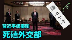 「习近平反复无常！破党规又无行事规范与能力」No.02（07/28/23）#秦刚