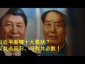 习近平有哪十大罪状？反共必反习，习倒共必散！（一平论政43）