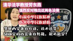 清华法学教授劳东燕，强烈反对推出这两条法律：“有损中华民族精神”、“伤害中华民族感情”。警察两字来自日语，该不该禁？领袖穿的西装来自列强，能不能穿？2023.09.07NO1984#劳东燕#34条