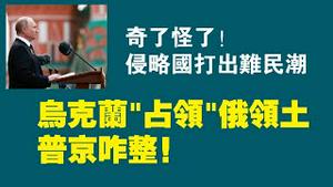 奇了怪了。侵略国打出难民潮。乌克兰“占领”俄领土，普京咋整？2022.10.02NO1526#普京#莱曼#利曼#红利曼