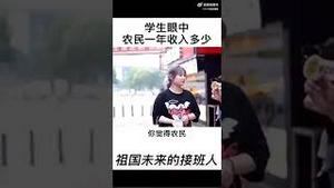 【公子时评】中国街头访问：中国农民挣多少钱？省会在哪里？粮食价格？中国人喜欢嘲笑美国普通民众的无知，现在来见证中国年轻人的风采！