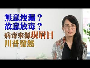 【第18期】病毒来源于武汉P4病毒实验室，无意洩漏？故意放毒？病毒来源显现眉目 川普发怒 | 薇羽看世间 20200419