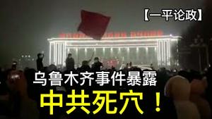 乌鲁木齐及郑州两地百姓上街，地方官员被迫退让！中共为什么没派军队镇压抗议民众？中共维稳的死穴，及民间抗争的短板！ （一平论政2022/11/26)