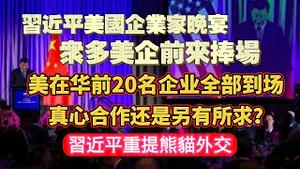 习近平美国企业家晚宴，众多美企前来捧场。美在华前20名企业全部到场，真心合作还是另有所求？习近平重提熊猫外交。2023.11.17 NO2075#习近平#习拜会