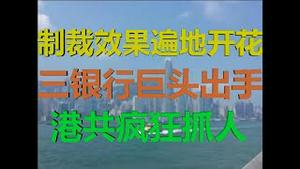 财经冷眼：制裁效果遍地开花，三银行巨头出手，港共疯狂抓人！（20200810第307期）