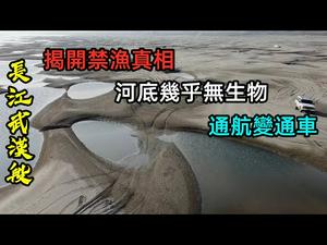 2021年长江武汉段变“大沙漠”，干枯的河床物种消亡|宜宾长江河段也出现枯水期|长江断流严重，汽车自由通行|#环境#三峡大坝#枯水期#武汉长江