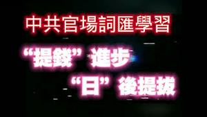 中共官场词汇学习：“提钱”进步，“日”后提拔。2024.02.29NO2207