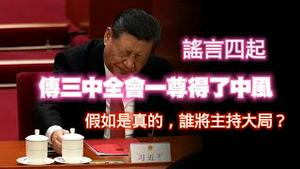 【谣言四起】传三中全会一尊得了中风。假如是真的，谁将主持大局？2024.07.17NO2405