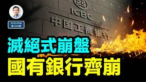 中国六大国有银行齐崩,「生物大灭绝」式崩盘是啥样？（文昭谈古论今20250508第1555期）