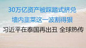 财经冷眼：30万亿资产踩踏式挤兑，墙内韭菜这一波割得有点狠！习近平在泰国再出丑，全球热传！（20221118第907期）