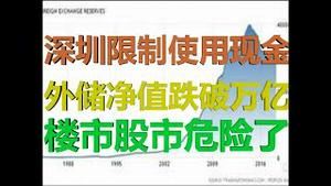 财经冷眼：深圳突然限制使用现金的信号！外储净值跌破1万亿，外汇管制升级！楼市股市要爆！（20200818第313期）