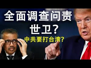 川普对世卫的调查与问责;5月10日开两会?经济与外交危机同至,中共会否打台湾转移视线(政论天下第151集 20200415)天亮时分