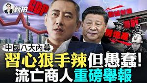 麦当娜传“脑死亡”？！南京小区全是便衣！习近平造访，再喊备战、敢战；鳄鱼、军火、被祭旗的敌人，普里戈津被抄家，大量惊人发现；流亡商人沈栋，重磅举报中国八大现状；朝鲜正大量饿死人｜新闻拍案惊奇 大宇