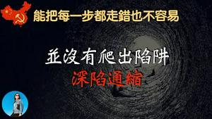 中国经济深陷通缩危机，今年的经济决策，共产党是怎么做到每步都走错的？｜米国路边社 [20231212#510]